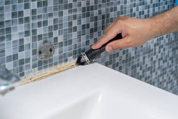Best Commercial Mold Removal  in Woodfield, SC